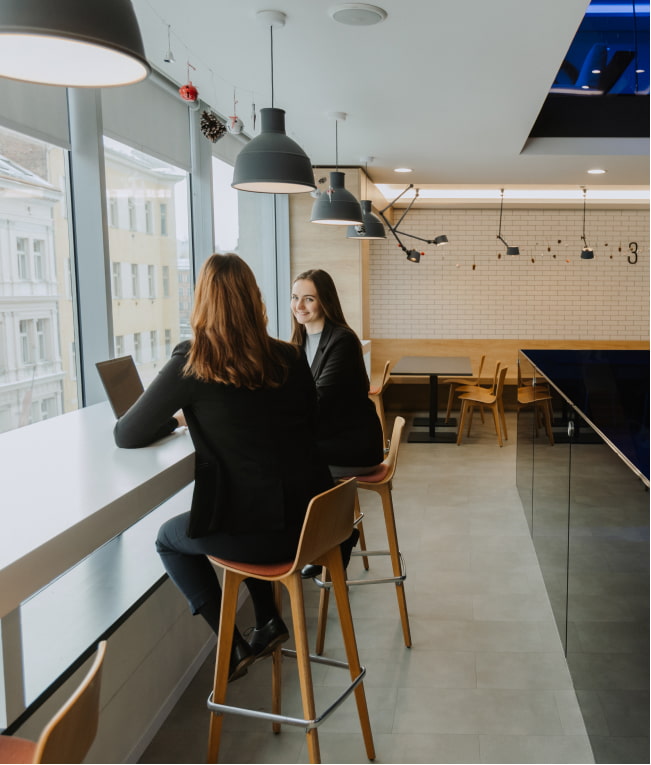 Daňové poradenství